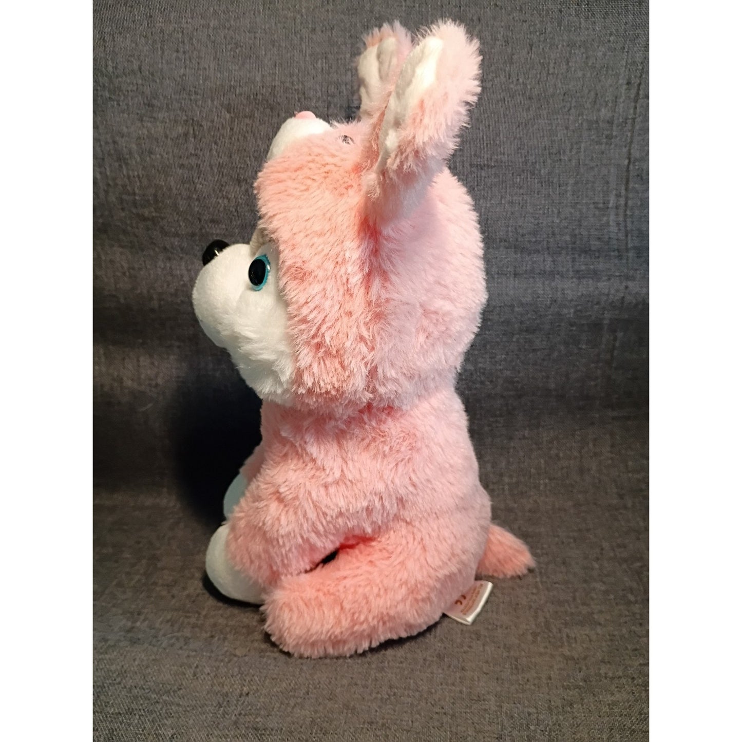 Baboli Husky wearing Pink Bunny Costume