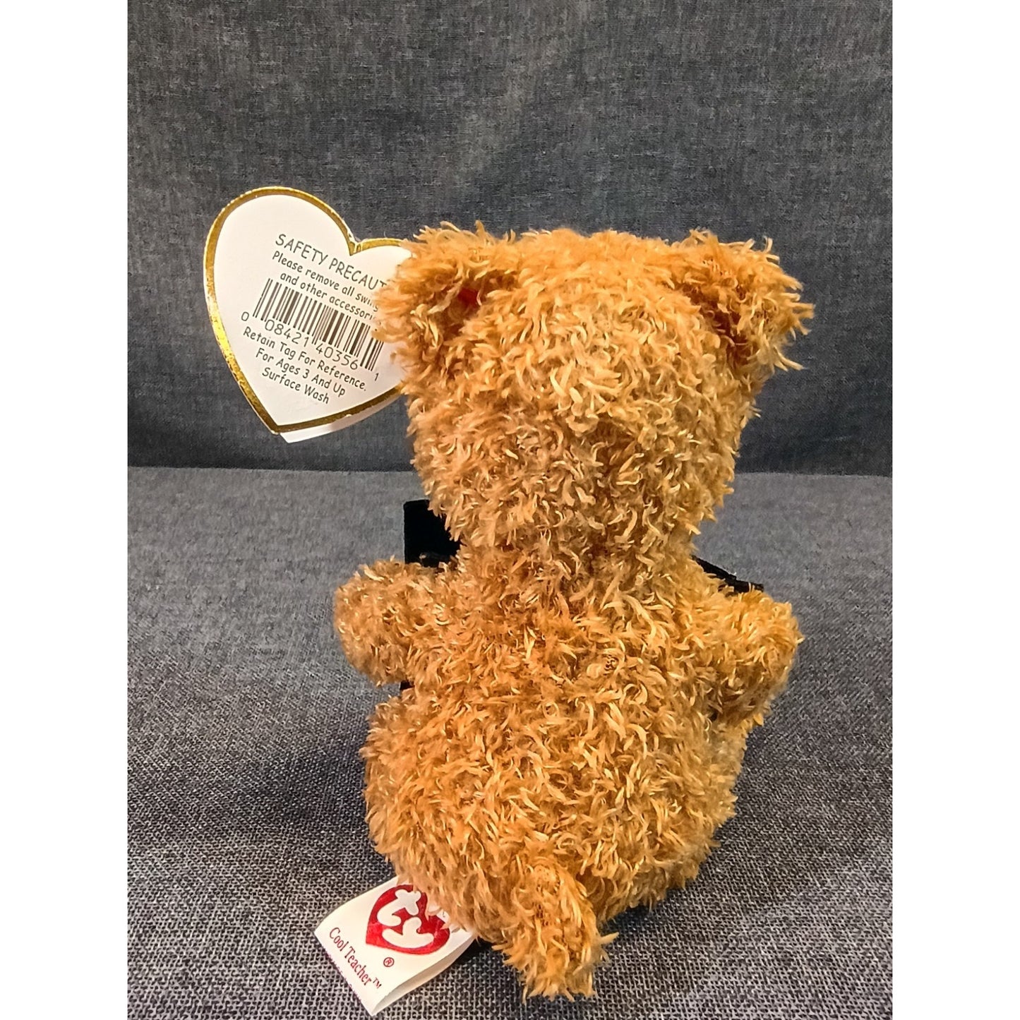 Ty Beanie Baby "Cool Teacher" Bear 4.5" Mini Stuffed Toy 2005