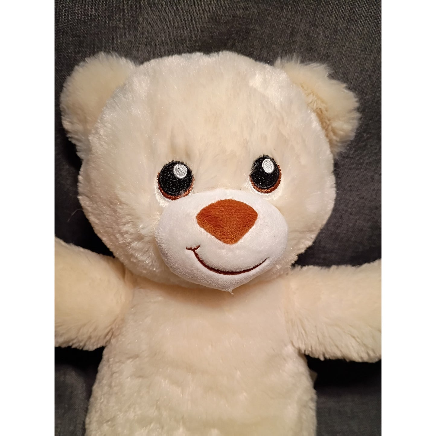 Build-A-Bear National Teddy Bear Day 2019 Limited Edition