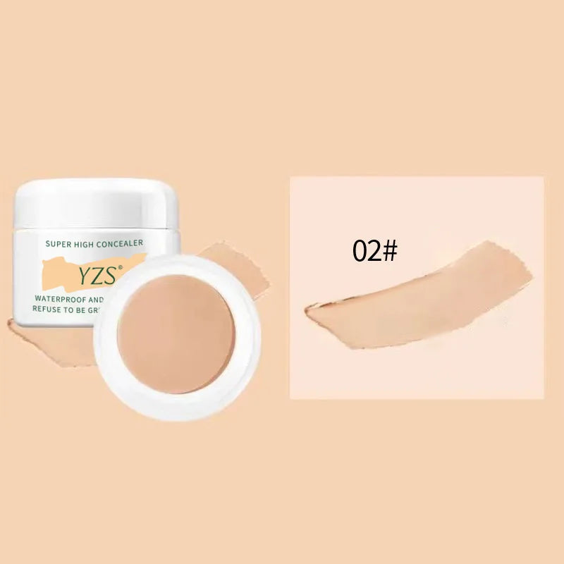 High Coverage Concealer Corrector Anti Dark Circle Freckle Lasting Matte Foundation Skin Corrector Face Makeup Base Cosmetics