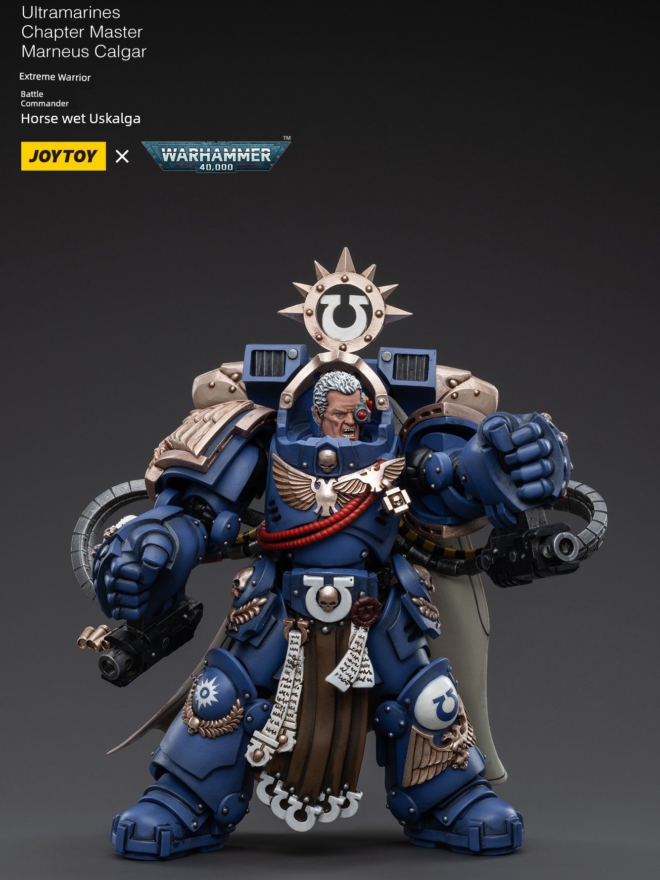 Warhammer Dark Source Movable Model Hand-Made