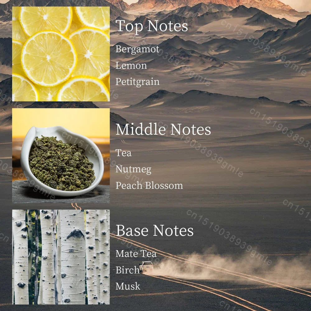 Brand Floral Woody Fragrance Spray Original Natural Confidence Women Men's Perfume Vitality Afternoon Earl Charming Pheromone