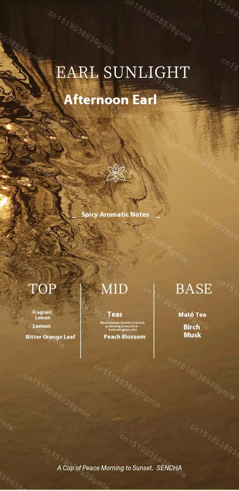 Brand Floral Woody Fragrance Spray Original Natural Confidence Women Men's Perfume Vitality Afternoon Earl Charming Pheromone