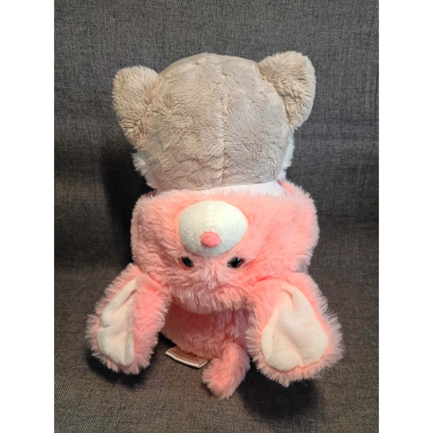 Baboli Husky wearing Pink Bunny Costume