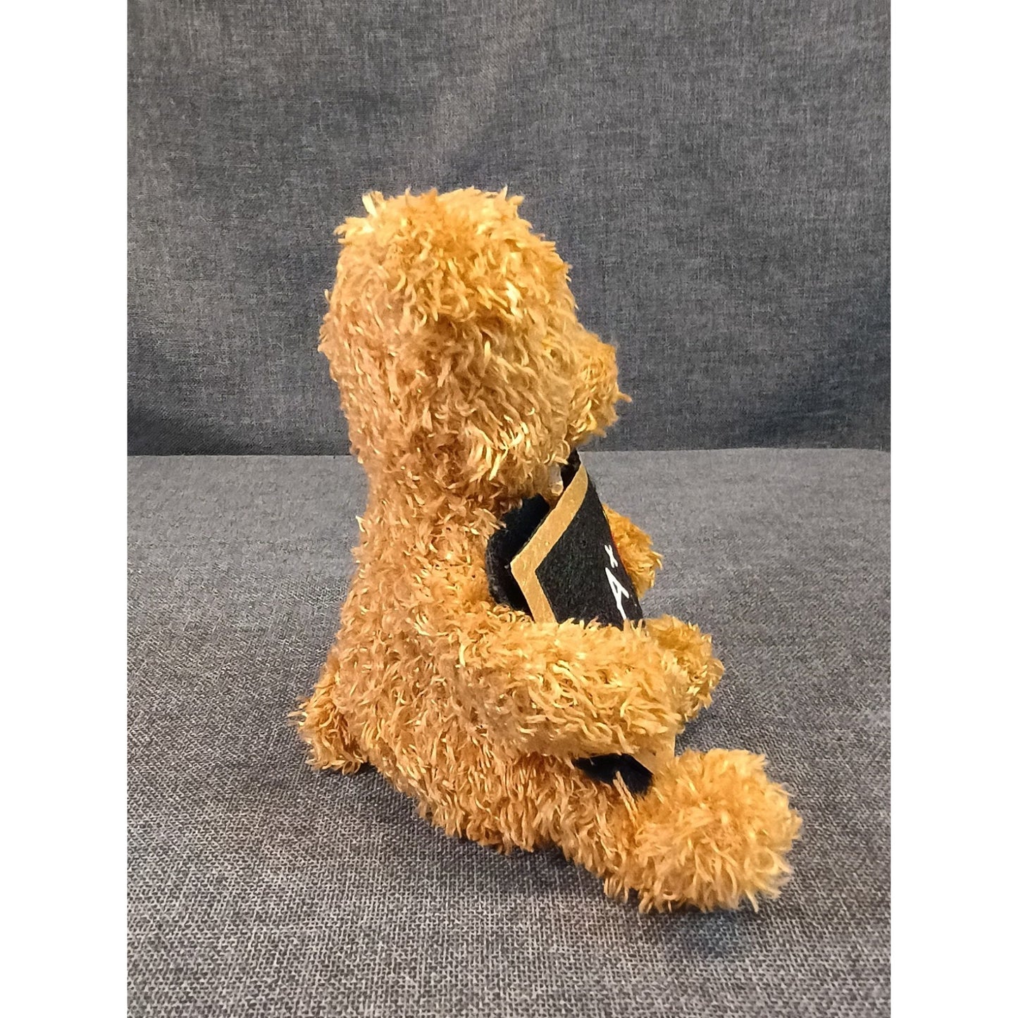 Ty Beanie Baby "Cool Teacher" Bear 4.5" Mini Stuffed Toy 2005