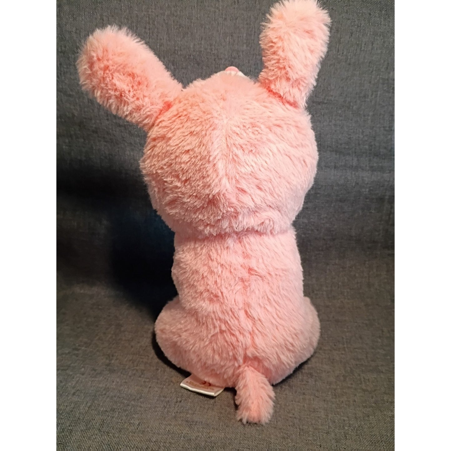 Baboli Husky wearing Pink Bunny Costume