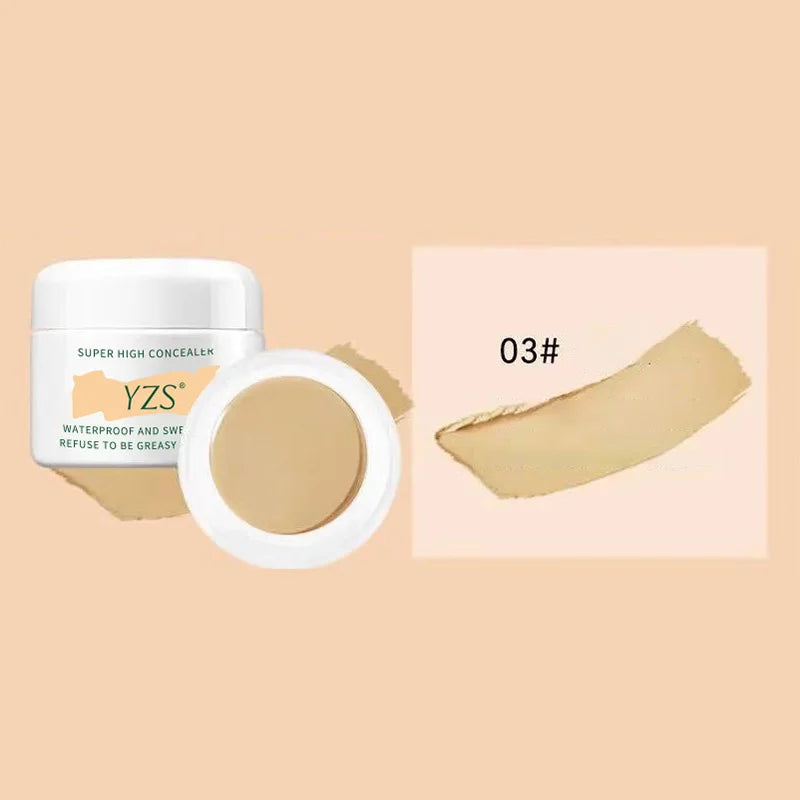 High Coverage Concealer Corrector Anti Dark Circle Freckle Lasting Matte Foundation Skin Corrector Face Makeup Base Cosmetics