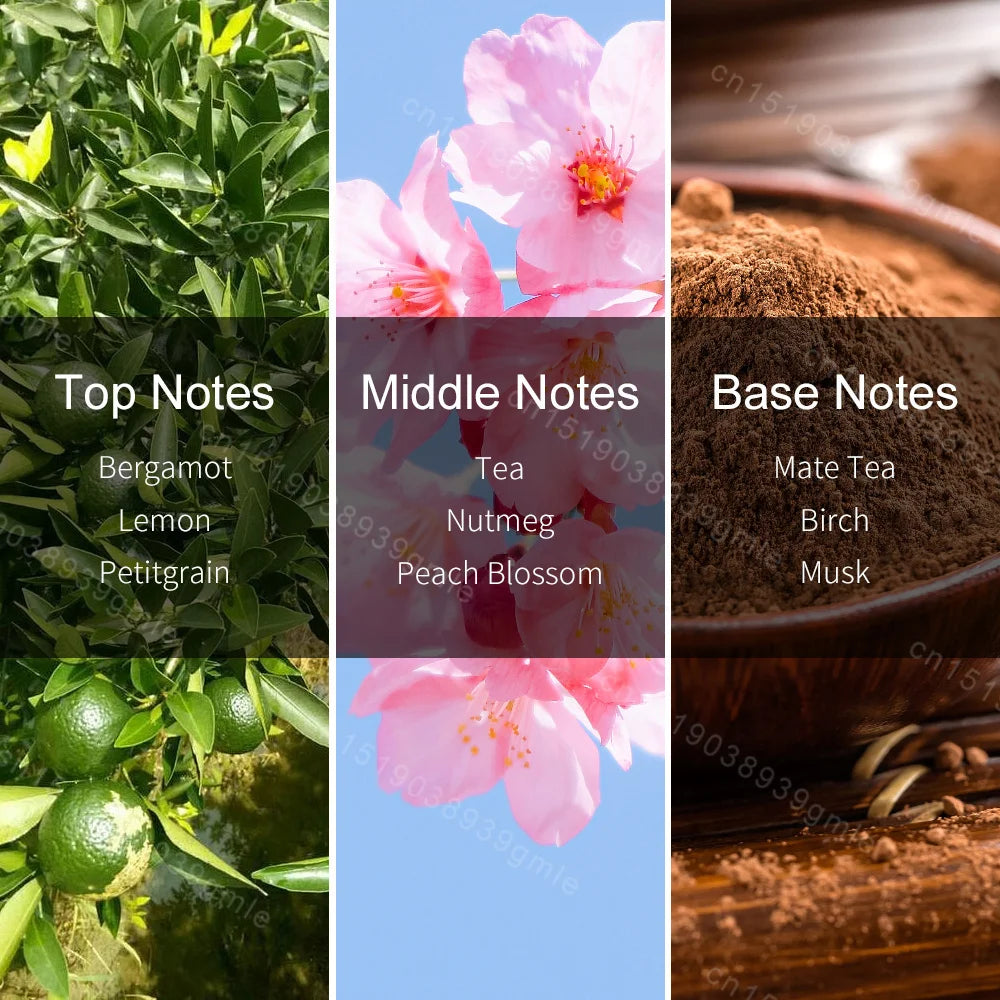 Brand Floral Woody Fragrance Spray Original Natural Confidence Women Men's Perfume Vitality Afternoon Earl Charming Pheromone