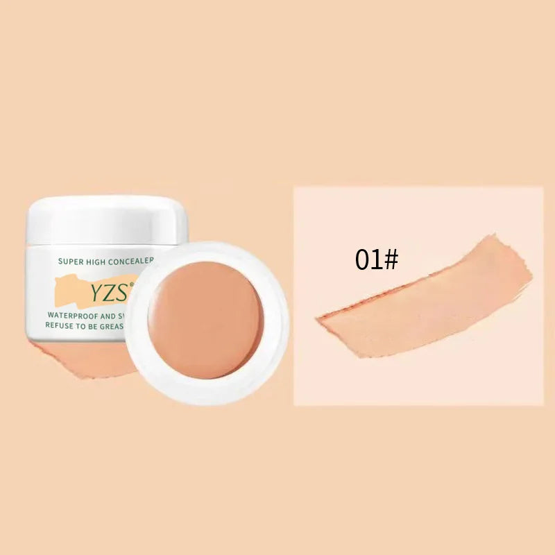 High Coverage Concealer Corrector Anti Dark Circle Freckle Lasting Matte Foundation Skin Corrector Face Makeup Base Cosmetics